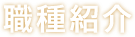 職種紹介