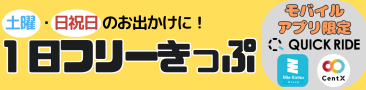 １日チケット